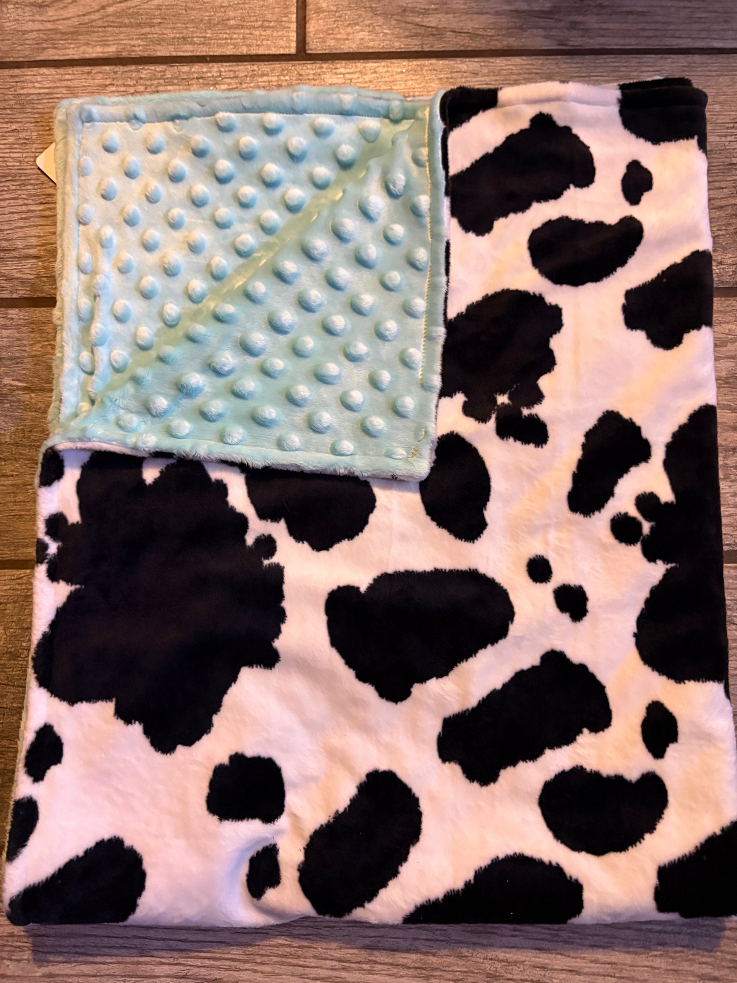 Cow print with blue minky blanket