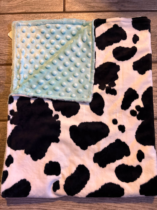 Cow print with blue minky blanket